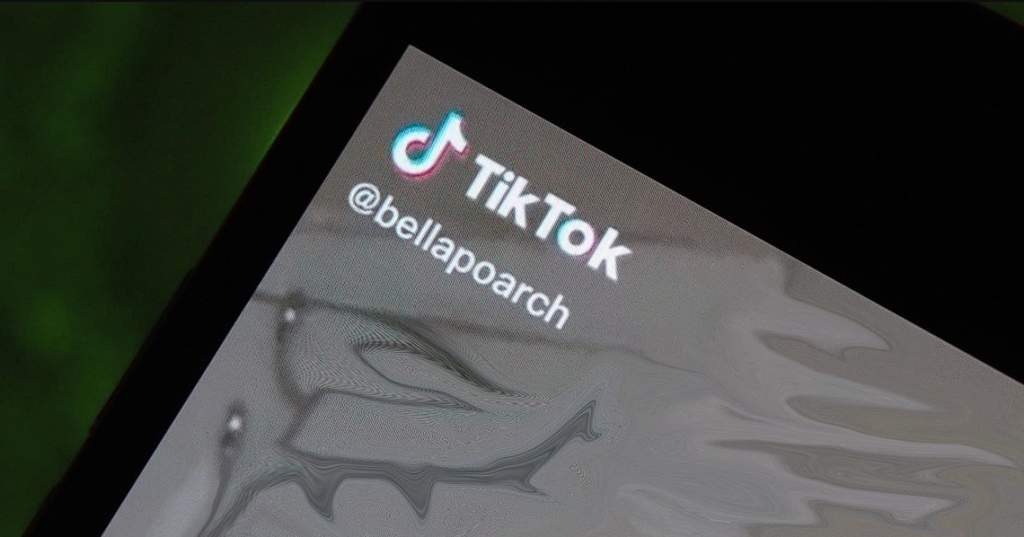 download-tiktok-video-without-watermark